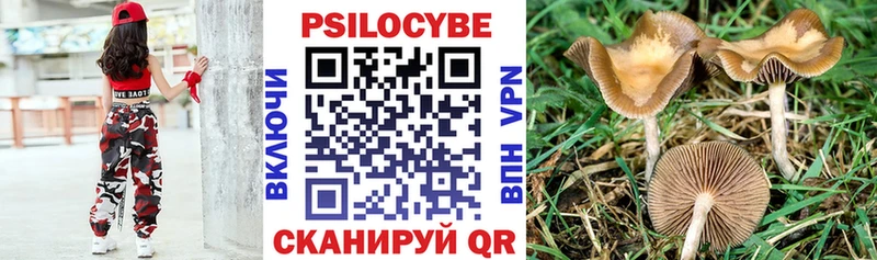 Псилоцибиновые грибы Cubensis  наркотики  Гатчина 