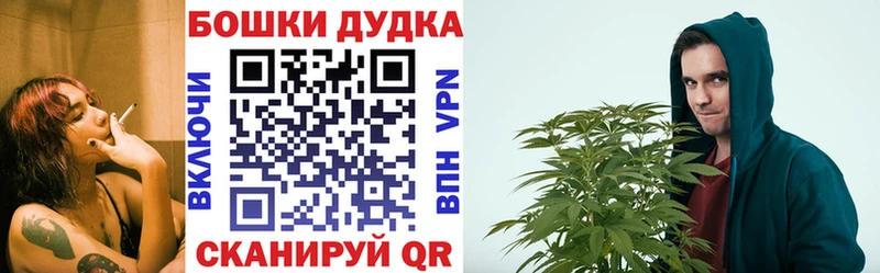 Канабис план  кракен   Гатчина 
